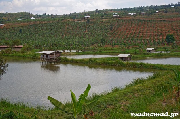 In Rwanda they install these wooden houses over small fish farms and rabbits are bred there. This way, the rabbit dung falls in the water and fish find it... tasty!