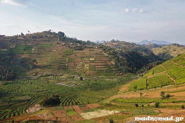In Rwanda, one of the most densely populated countries in the African continent, people farm wherever there is space, all the way to the top of the hills!