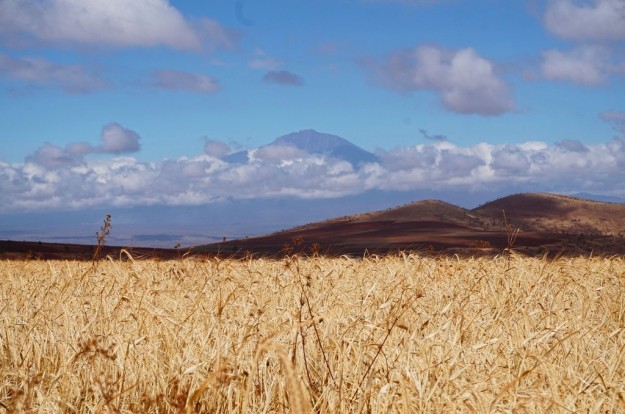 Mt. Meru is Tanzania's second highest mountain at 4,566 meters (14,980 ft.).